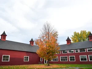 Barn