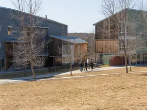 bare trees, yellow grass, wooden buildings