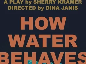 Poster for How Water Behaves