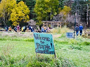 Photo of Purple Carrot Farm